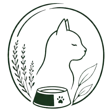 Katze